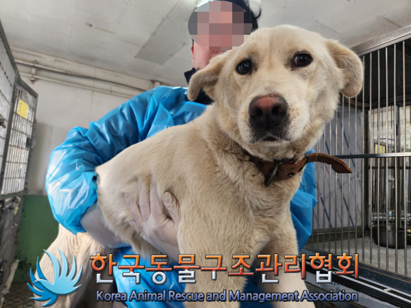 종료(안락사) 믹스…
