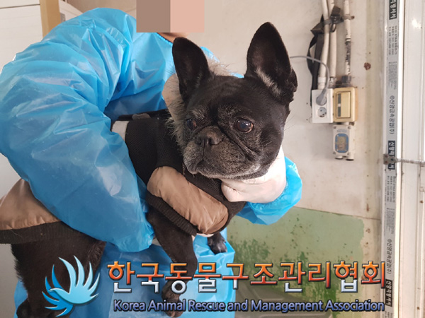 종료(반환) 프렌치…
