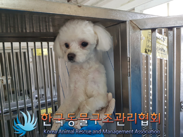 한국동물구조관리협회_411317202500006