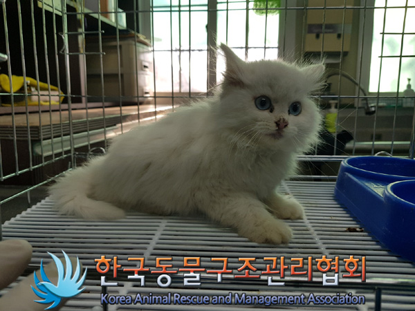 종료(기증) 페르시…