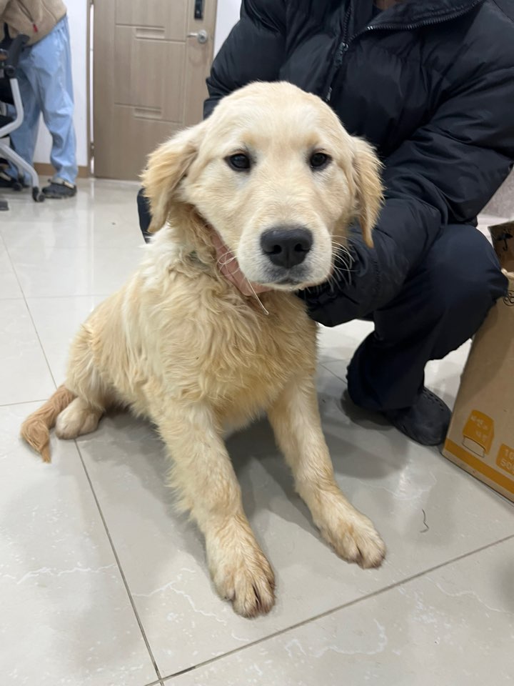 반려동물보호센터_443571202500073