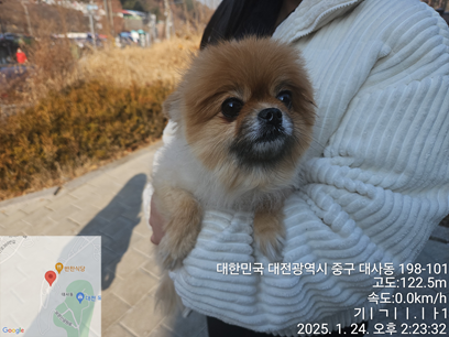 대전동물보호센터_430365202500011