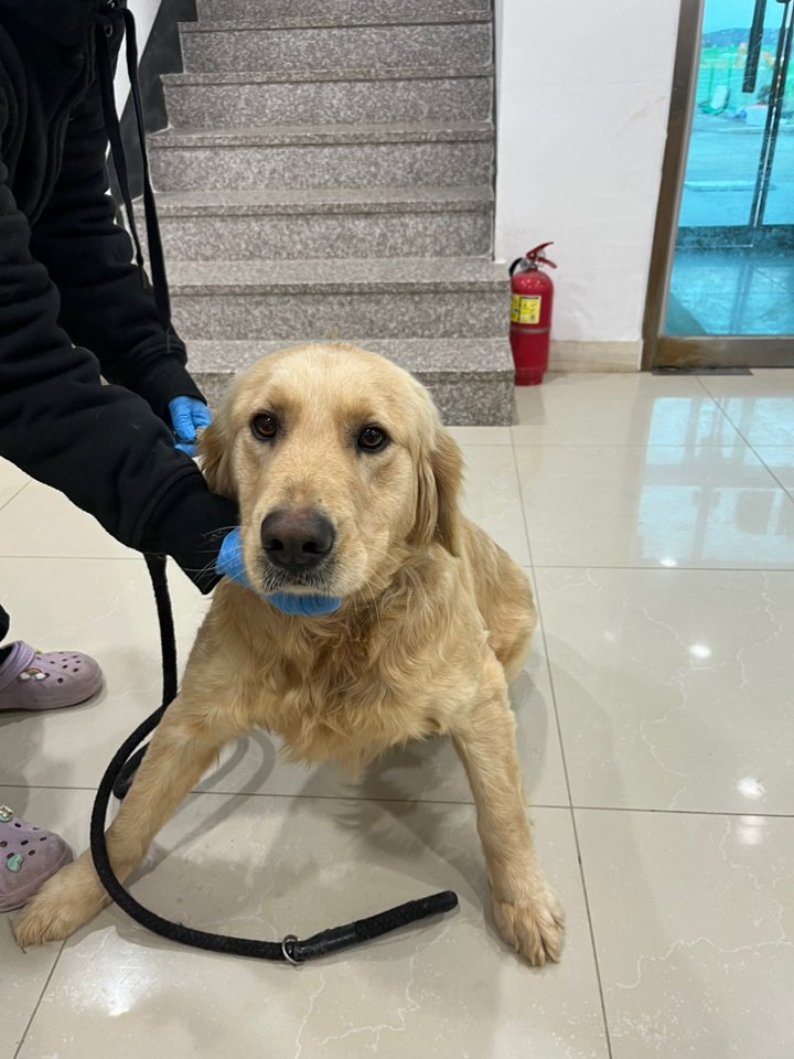 반려동물보호센터_443571202500072