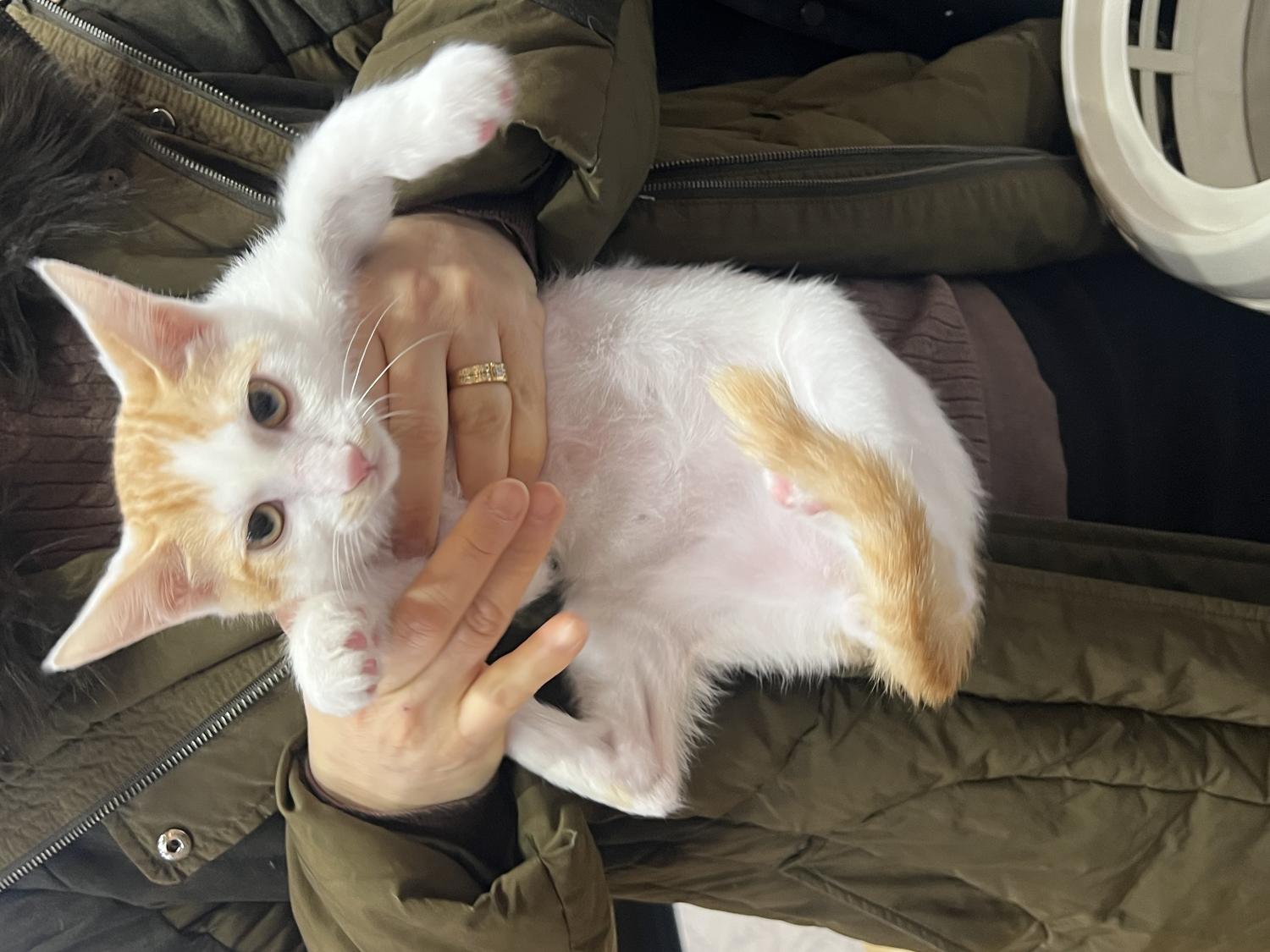 현풍동물병원_427348202500041