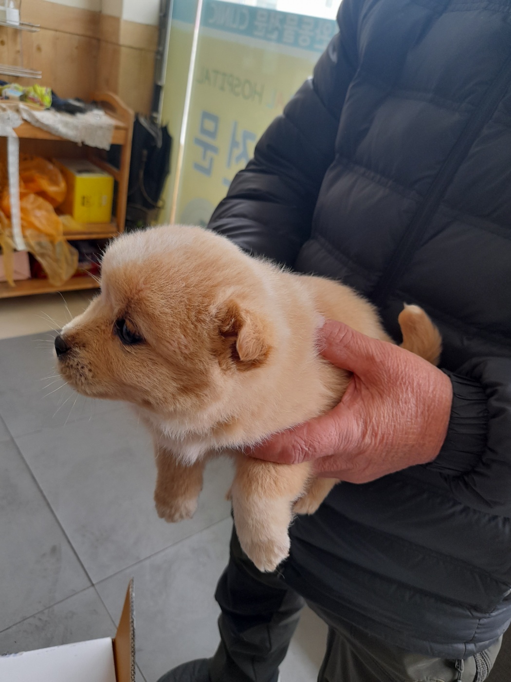 금왕동물병원_443447202500119