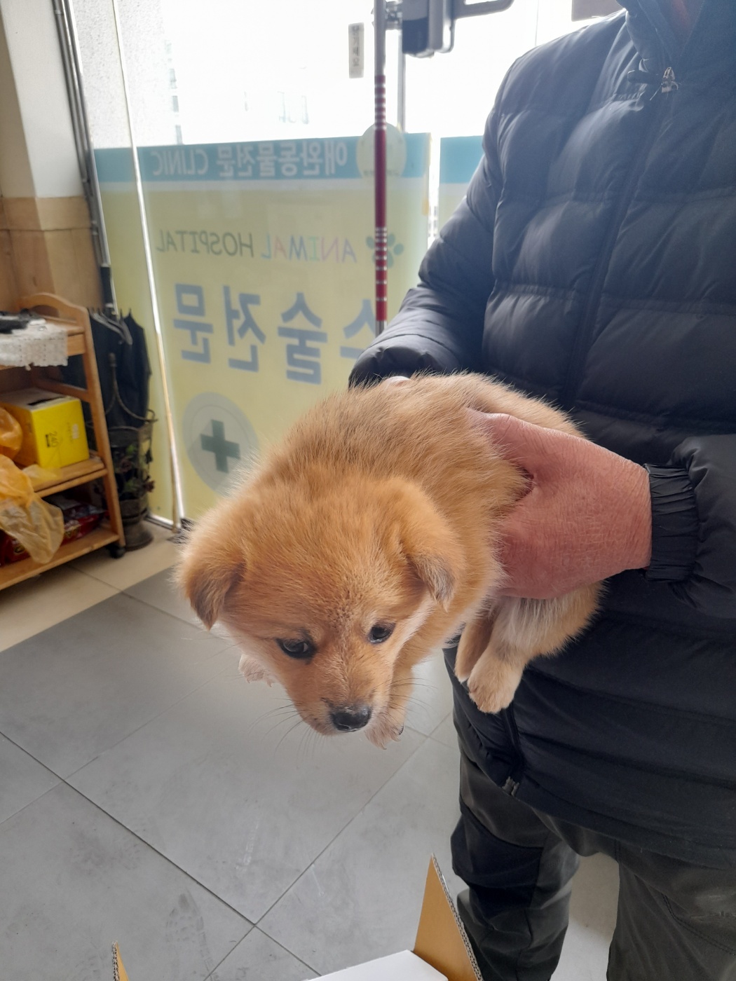 금왕동물병원_443447202500116