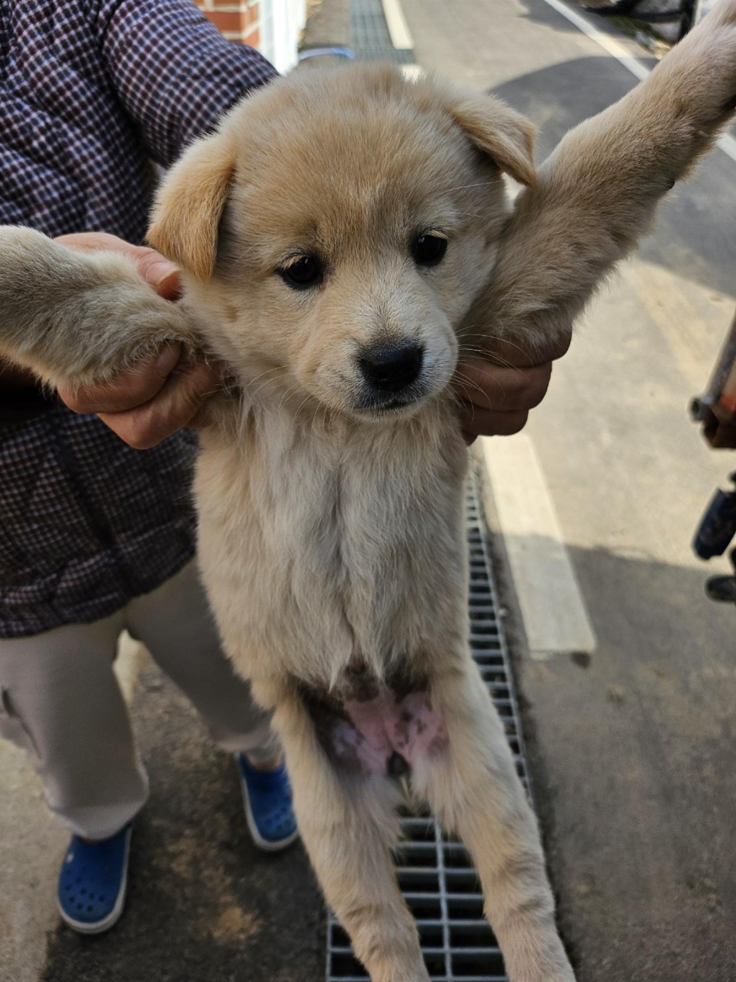 영광동물보호센터_446497202500014