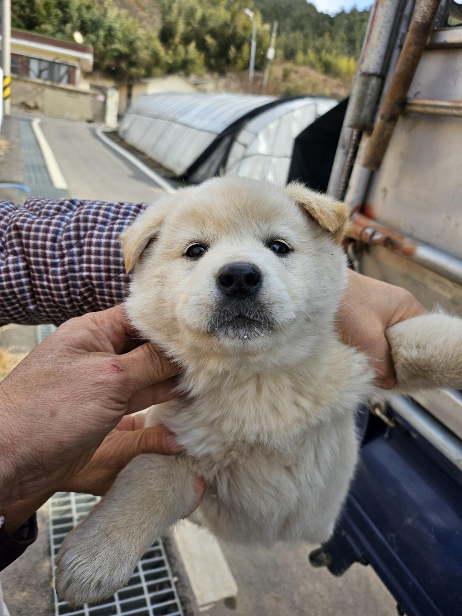 영광동물보호센터_446497202500015
