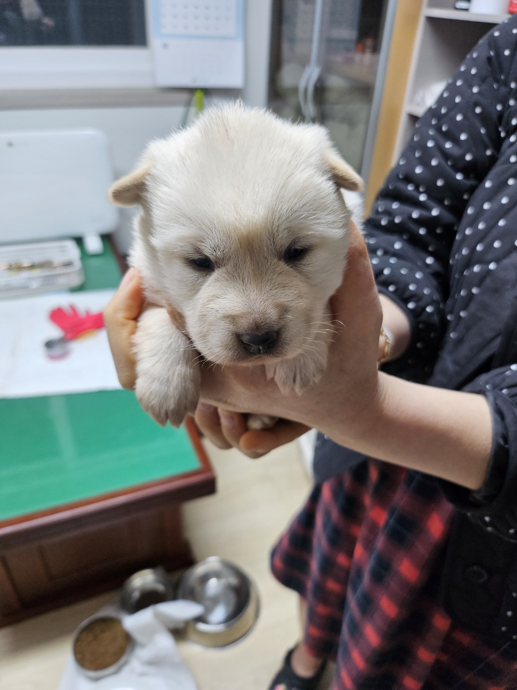 영광동물보호센터_446497202500023