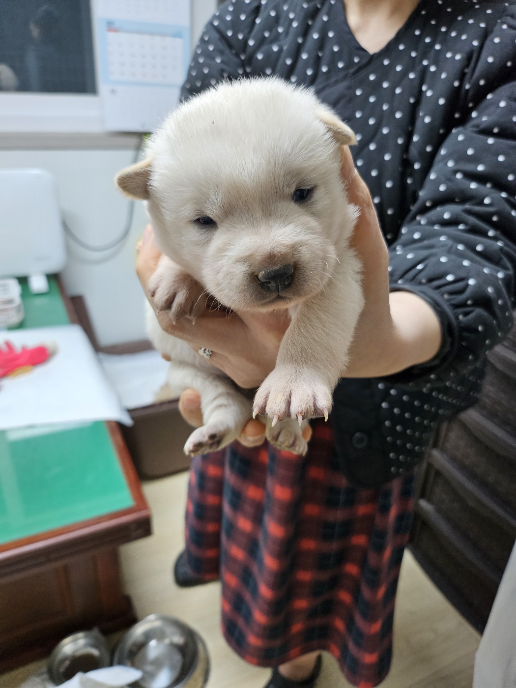 영광동물보호센터_446497202500022