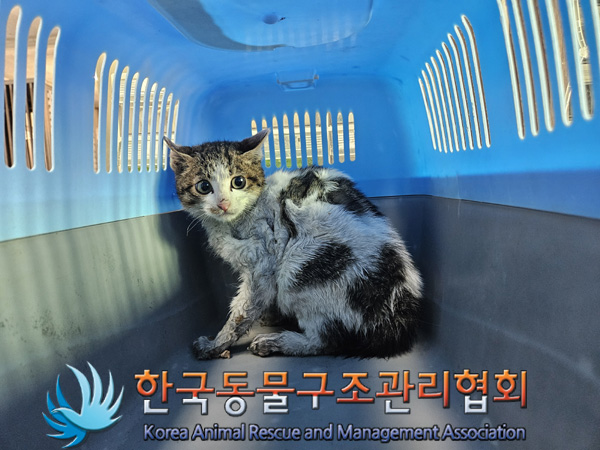 종료(기증) 한국 …