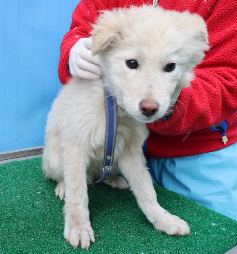제주 동물보호센터_450650202500278