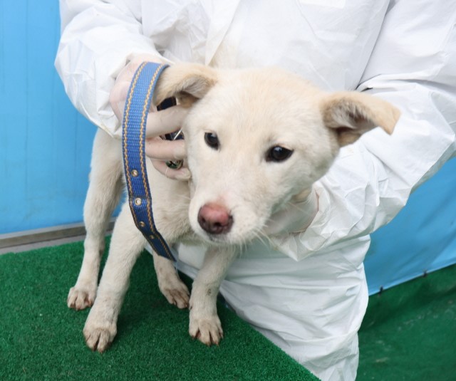 제주 동물보호센터_450650202500276