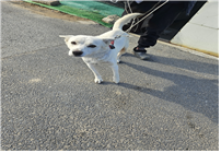 (사)동물보호관리협회_448535202500041