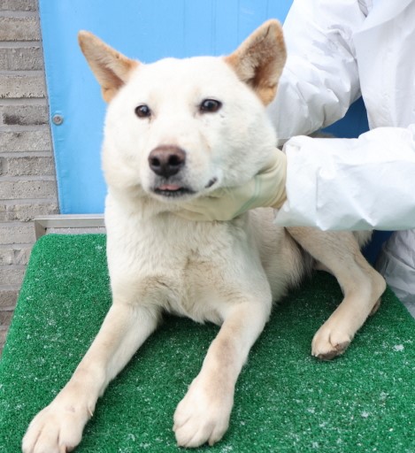 제주 동물보호센터_450650202500256