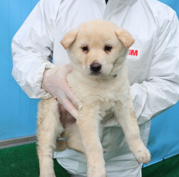 제주 동물보호센터_450650202500286