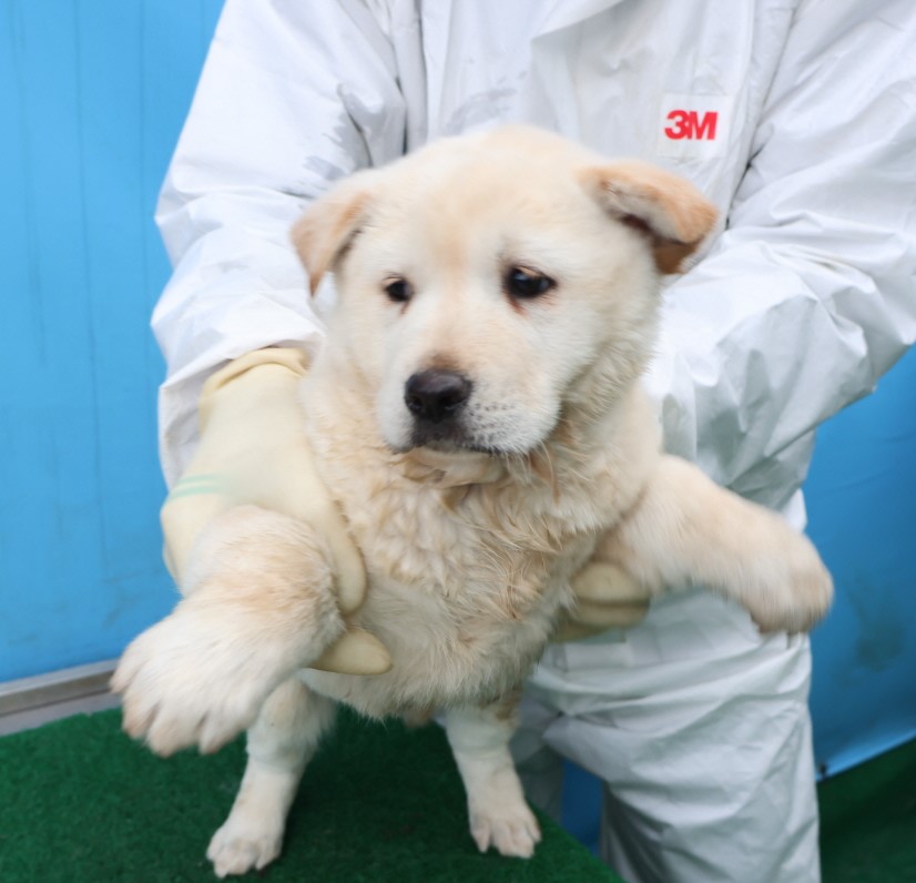 제주 동물보호센터_450650202500284