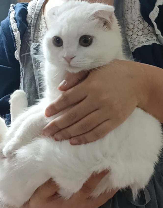 수원시 동물보호센터_441374202500029