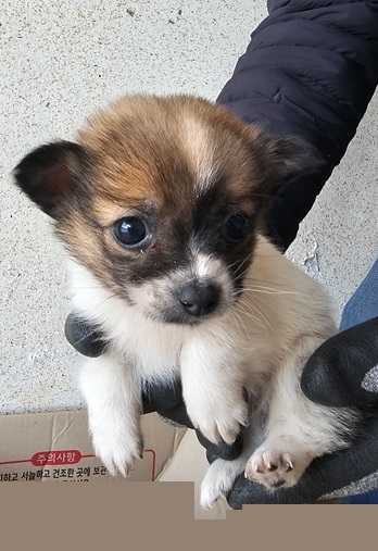 금일동물보호센터_444460202500045