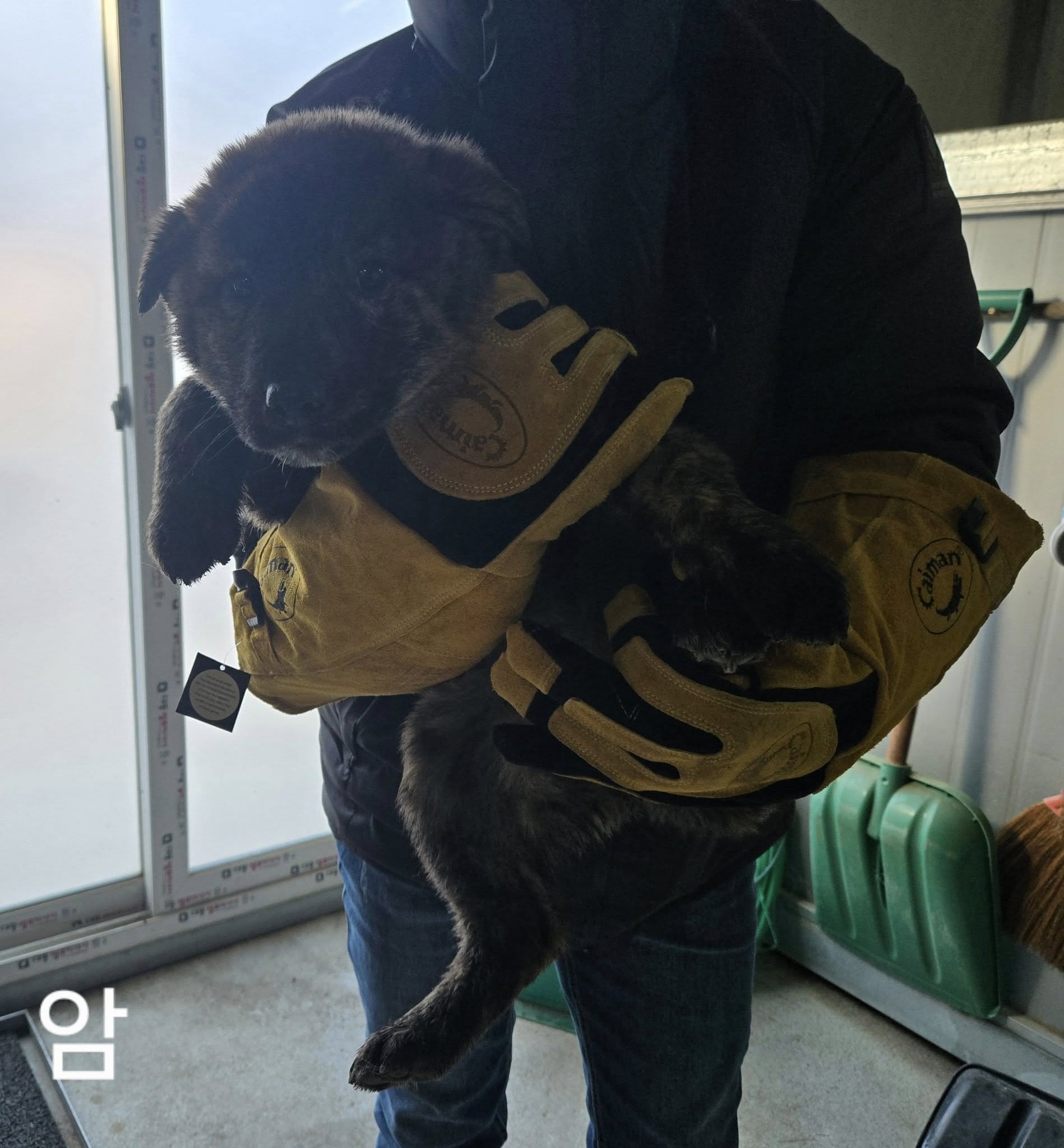 화천군농업기술센터_442431202500001