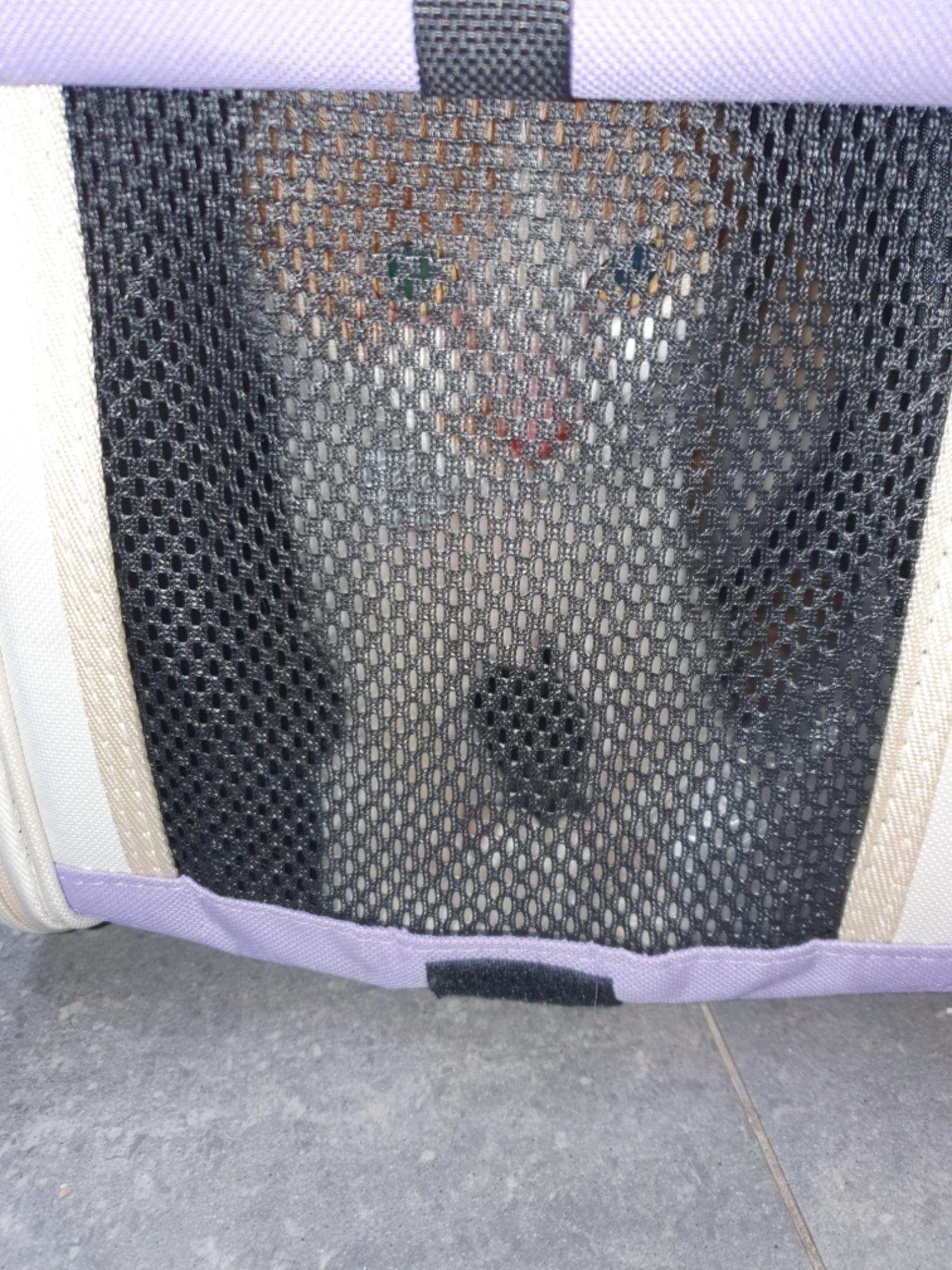 종료(반환) 한국 …