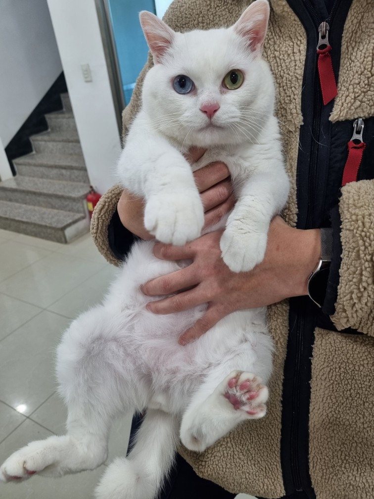 반려동물보호센터_443571202500078