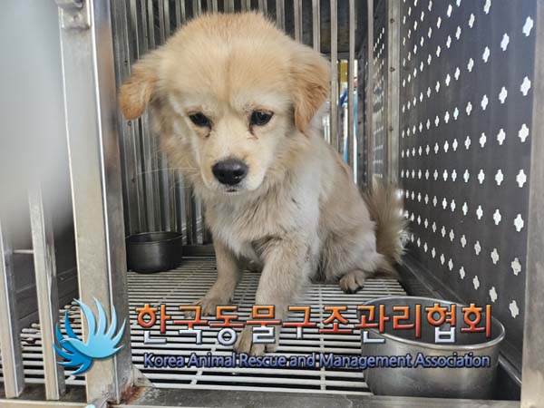 종료(안락사) 믹스…