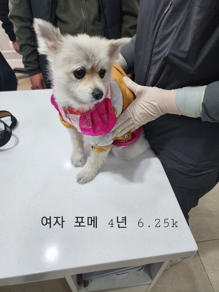 옥천동물병원_443443202500038