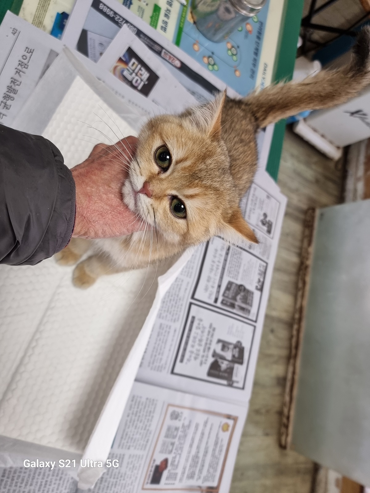 경동동물병원_428350202500009
