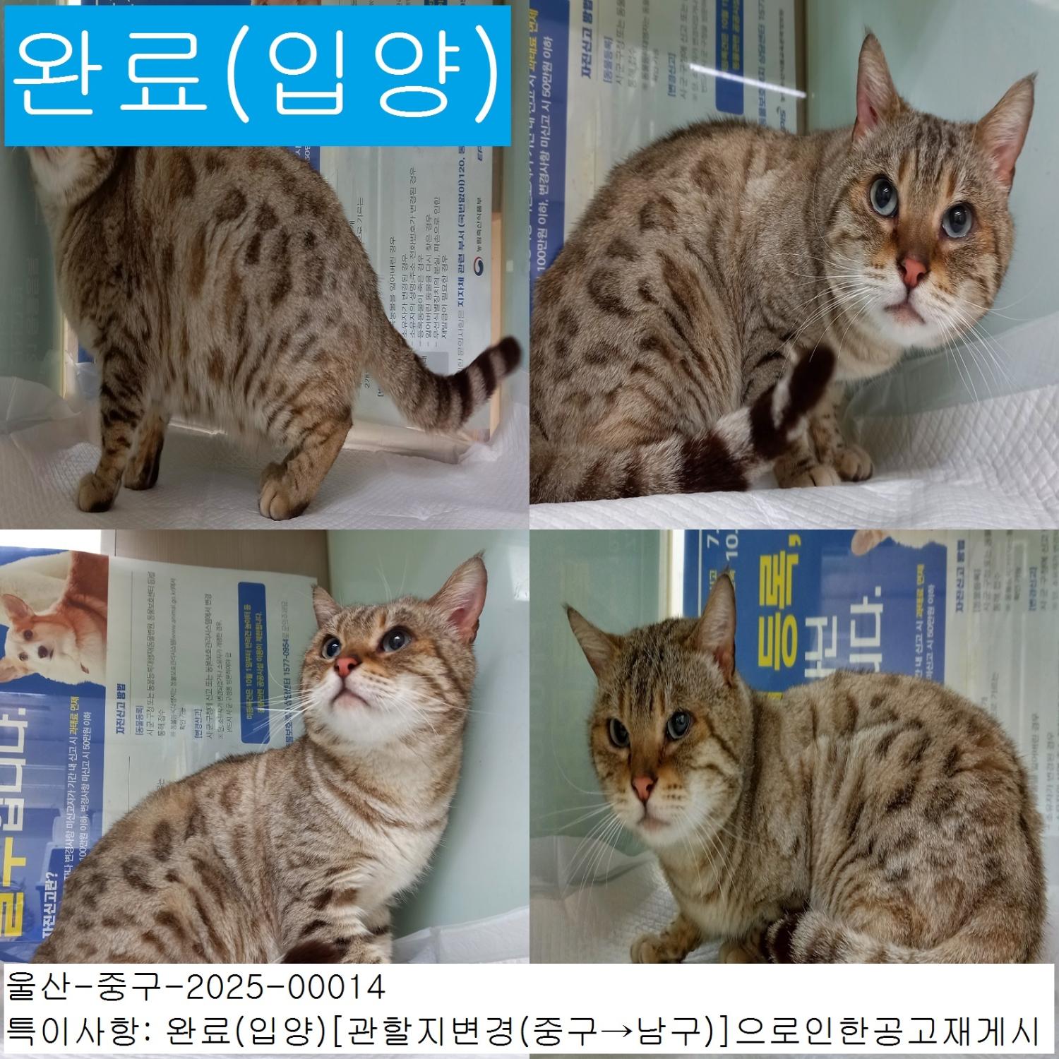산타클라라동물병원_431370202500015