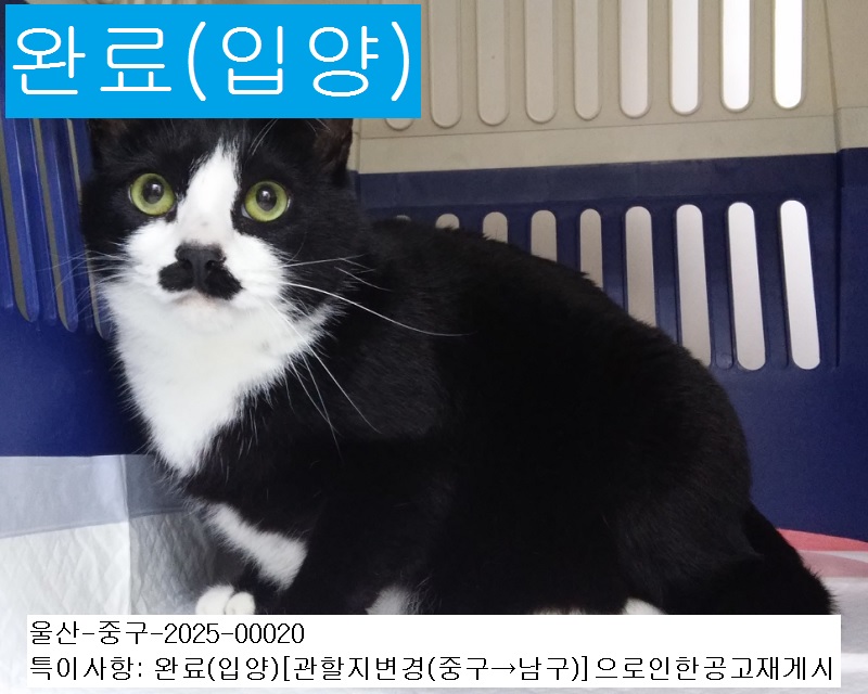 산타클라라동물병원_431370202500016