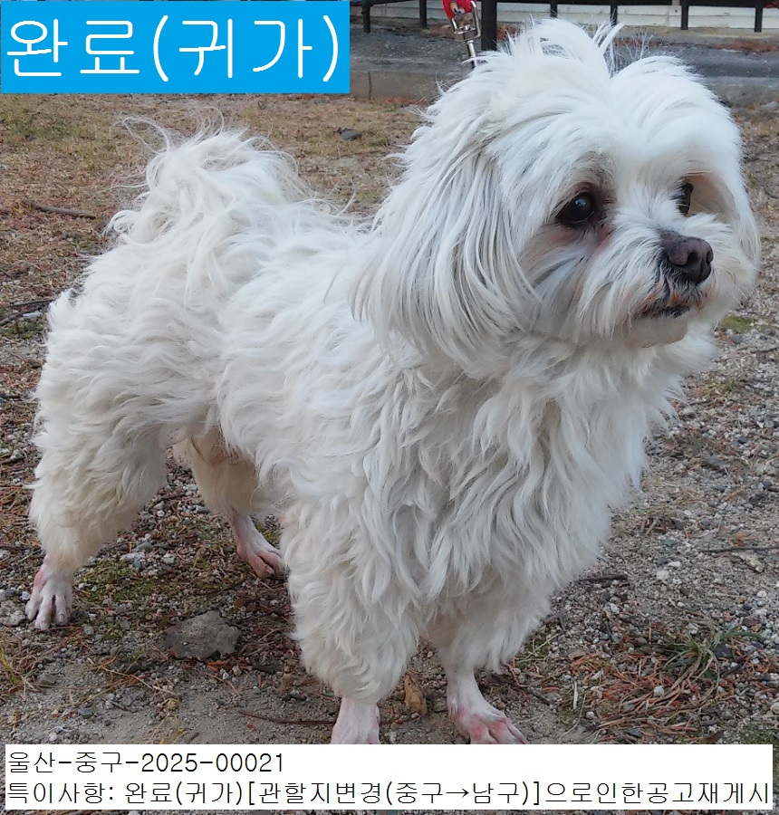 산타클라라동물병원_431370202500017