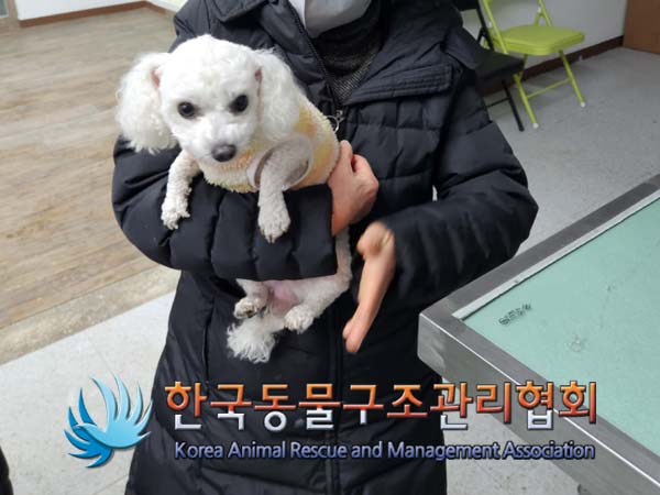 한국동물구조관리협회_411310202500007