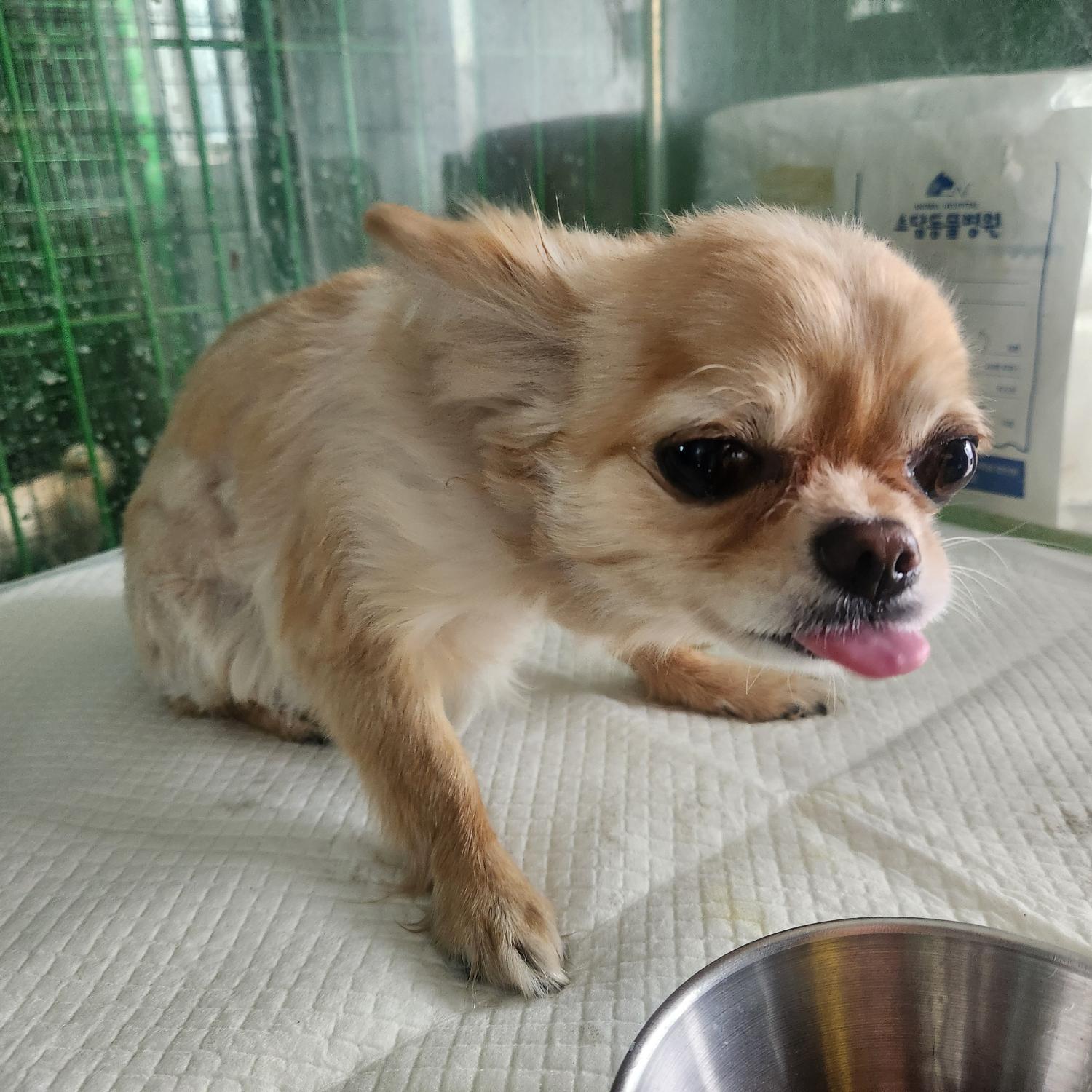 구례군동물보호센터_446487202500014