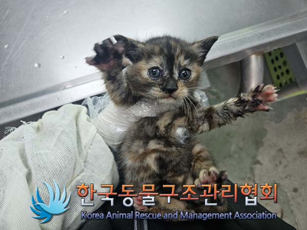 종료(기증) 한국 …