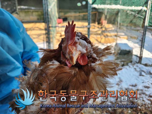한국동물구조관리협회_441560202500124