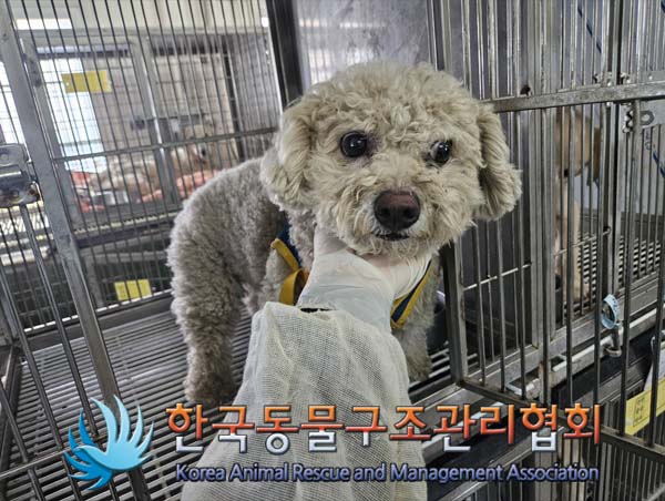 한국동물구조관리협회_441560202500125