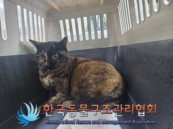한국동물구조관리협회_411303202500006