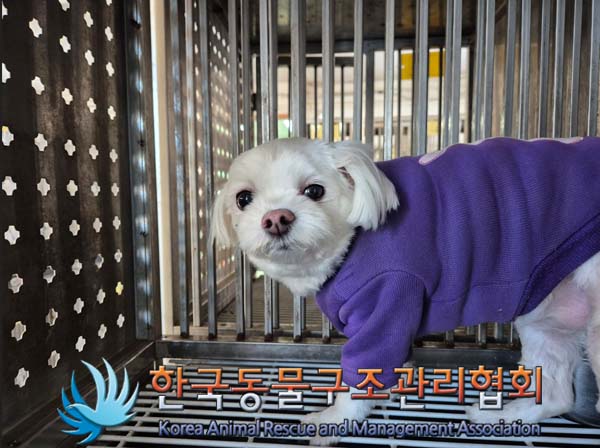 한국동물구조관리협회_441398202500016