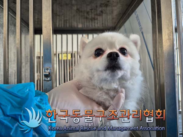 한국동물구조관리협회_411307202500010