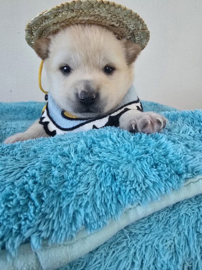 밀양시 동물보호센터_448536202500095