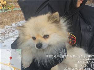 대전동물보호센터_430367202500039
