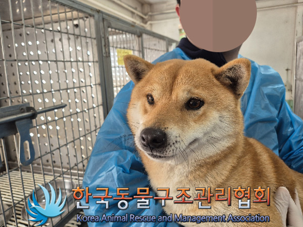 한국동물구조관리협회_441409202500097