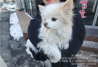 대전동물보호센터_430364202500024