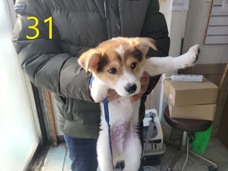신영재동물병원_428355202500031