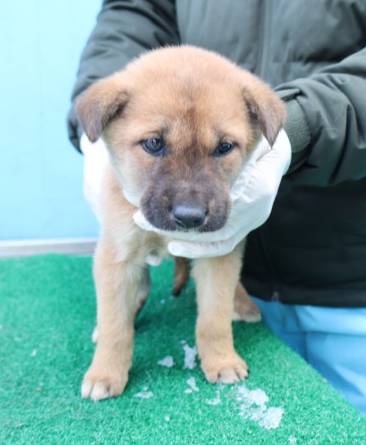 제주 동물보호센터_450650202500301