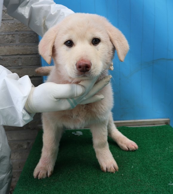 제주 동물보호센터_450650202500302
