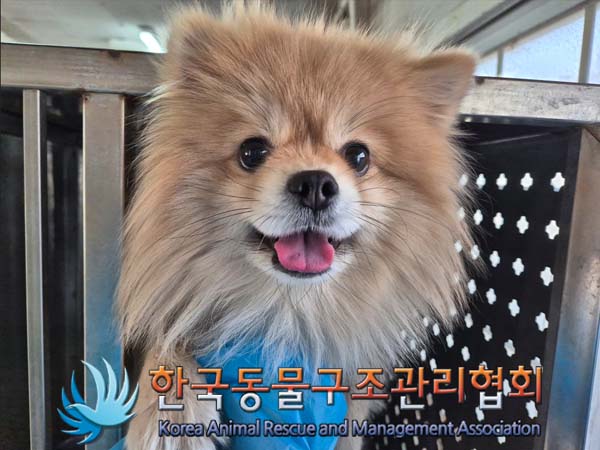 한국동물구조관리협회_441382202500025