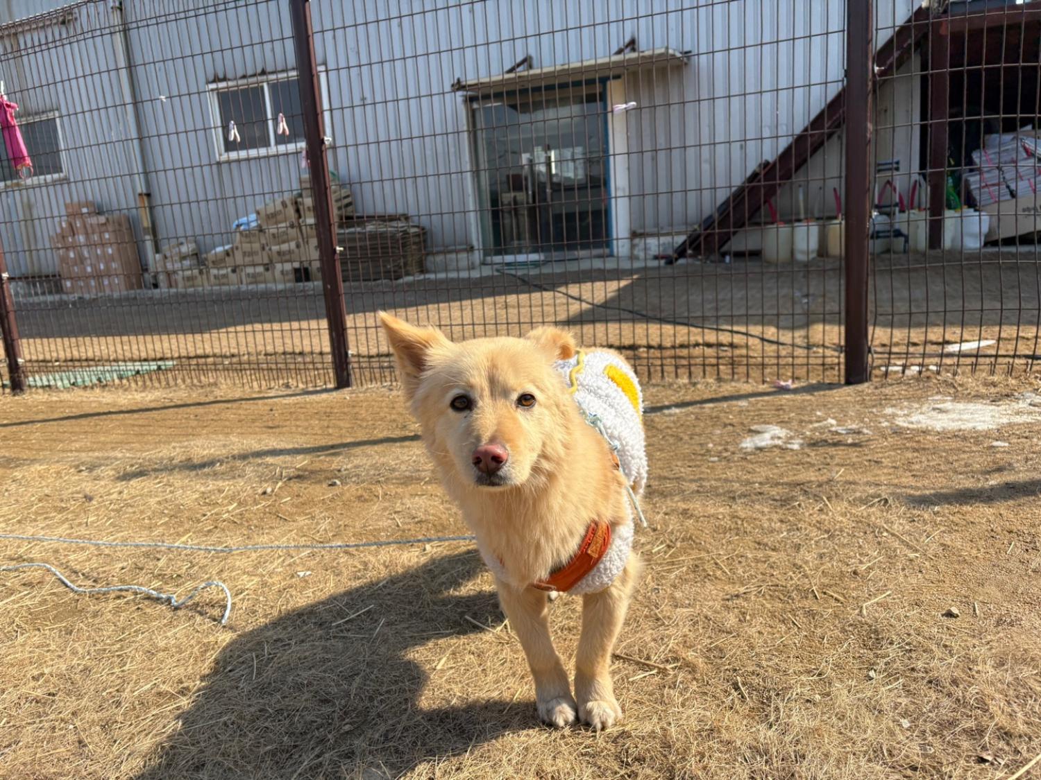 한국야생동물보호협회_441383202500006