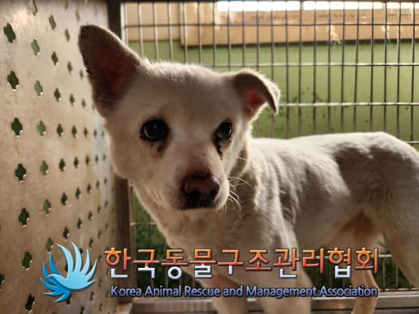 한국동물구조관리협회_441404202500012